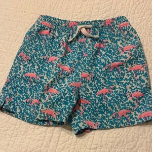 Kids flamingo Shorts - Blue and Pink